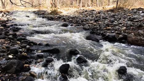 Winter-runoff-from-the-mountains-of-Northern-Arizona-rushes-down-Oak-Creek-over-rocks-and-boulder-on-its-way-south-through-Oak-Creek-Canyon,-Sedona,-Arizona