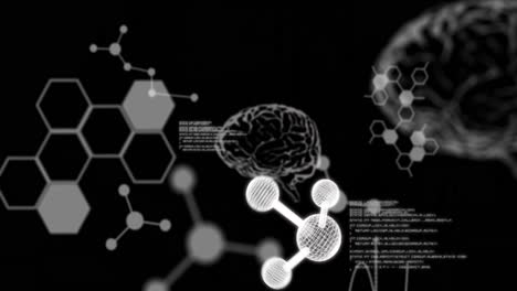 Animation-Menschlicher-Gehirne-Und-Datenverarbeitung-Auf-Schwarzem-Hintergrund