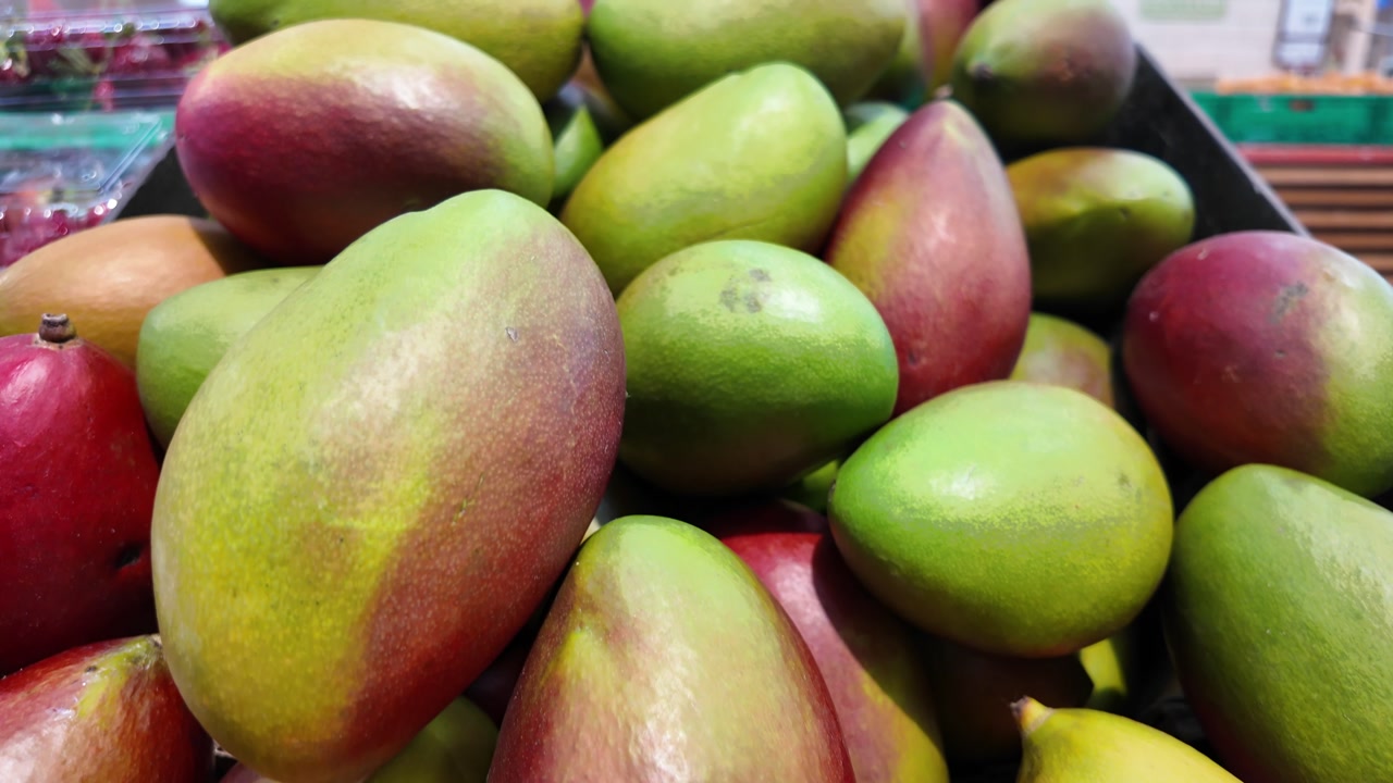 Close-up Panning Shot of Fresh Ripe Mangoes in a Supermarket