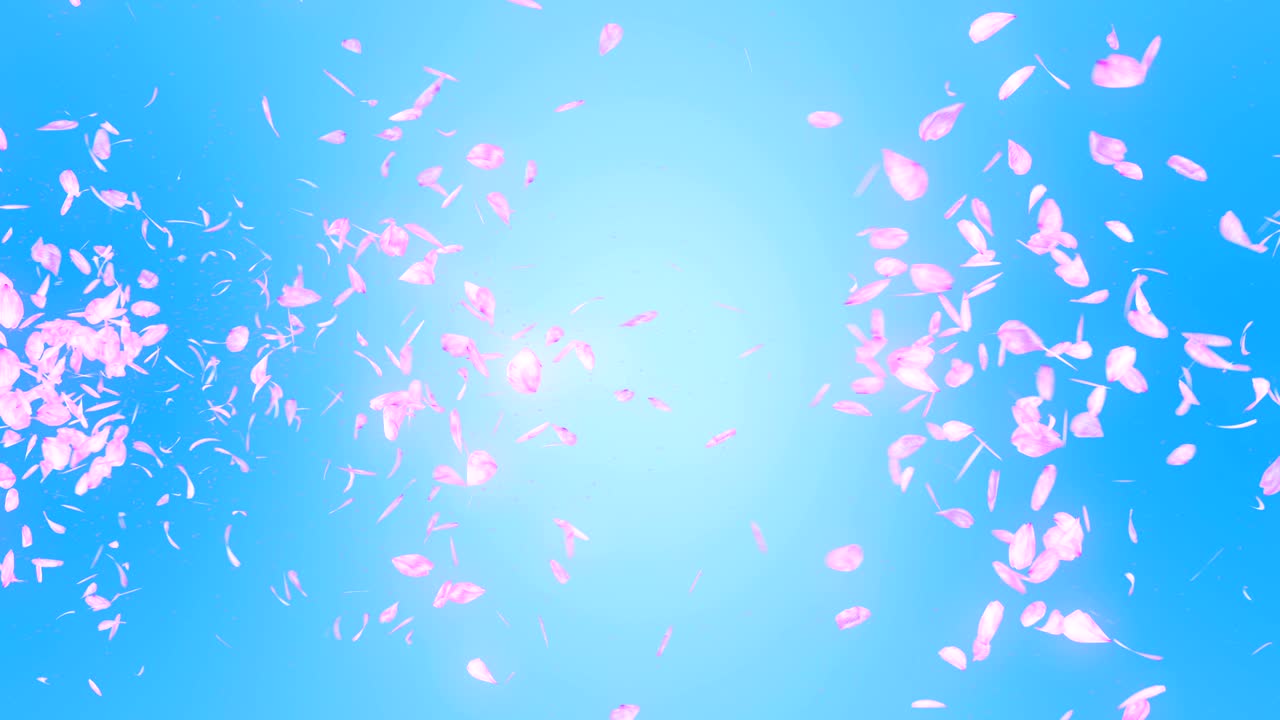파란색 배경에 떨어지는 체리 꽃 잎, 루프 글리터 애니메이션