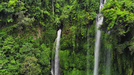 green forest scenery with a beautiful tropical waterfall