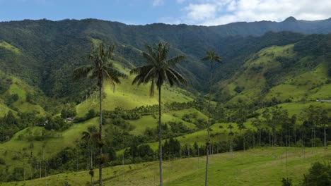 Toma-Panorámica-Aérea-Revela-El-Hermoso-Valle-De-Cocora-En-Quindio,-Colombia