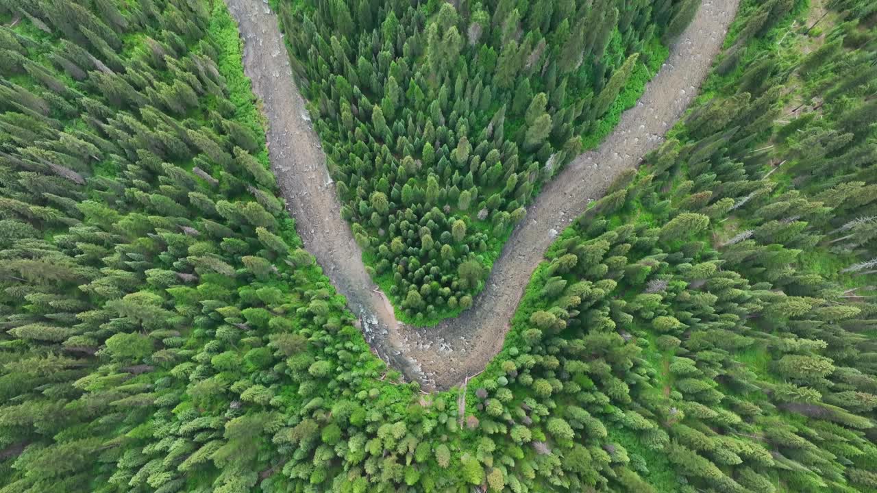río serpenteante con bosque de abetos densamente en el parque nacional