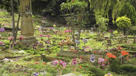 ancient cemetery , flowers over cemetery flowers over graveyards natural cemetery south america cemetery beautiful place