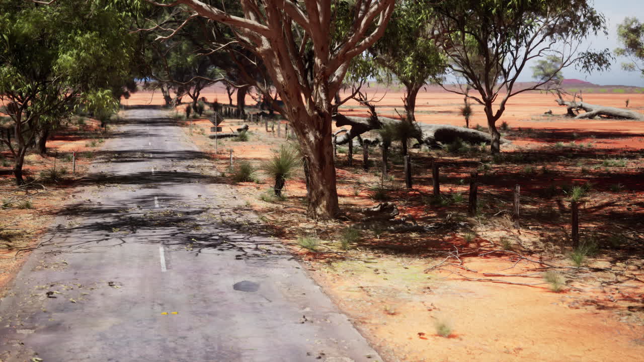 황폐한 사막 도로