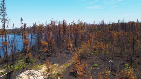 drone sobrevuela el área devastada por uno de los mayores incendios en la historia de la provincia de quebec