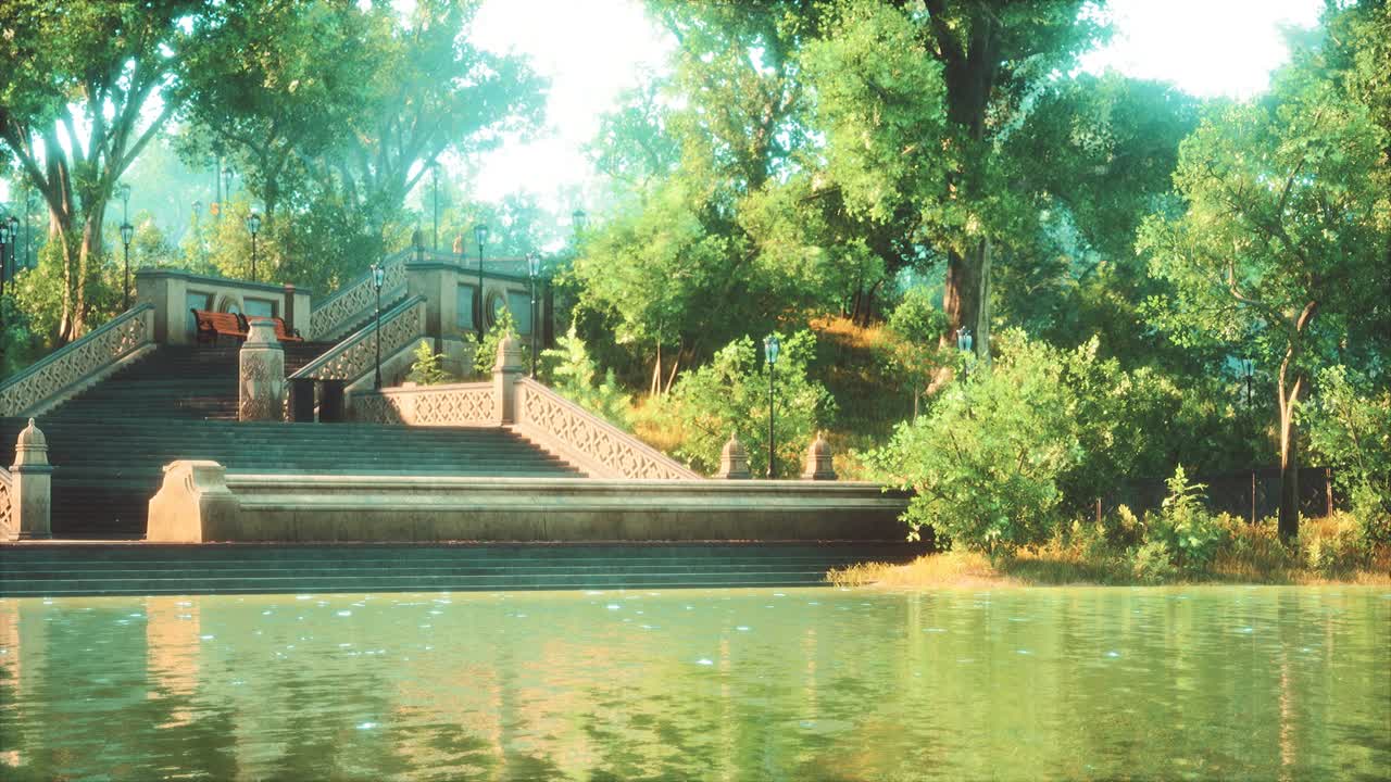 ⁇ 빛 속 의 울창 한 초록색 숲 공원 으로 둘러싸인 평화로운 연못