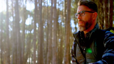 male hiker sitting with map in the forest 4k