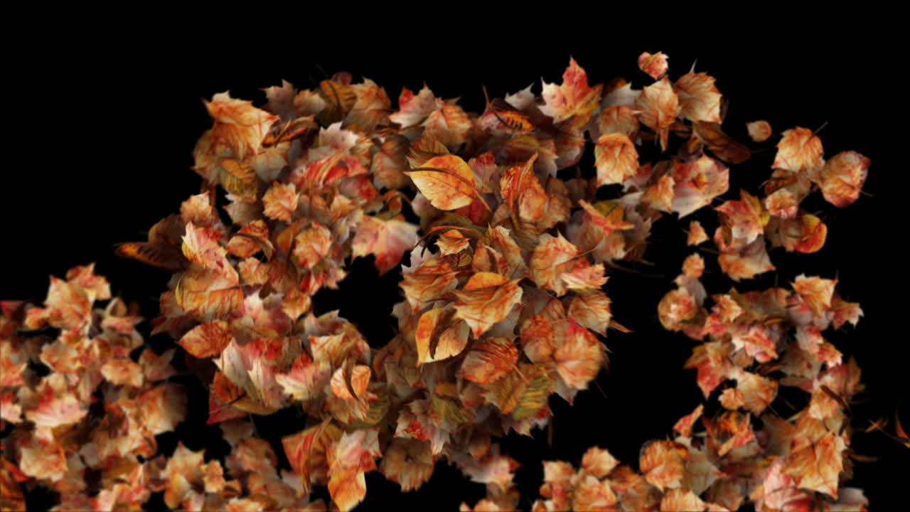 Autumn Leaves Transition on black background - Leaf Particles Reveal Element