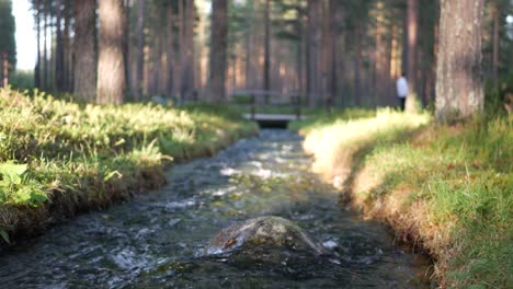 Mann-Läuft-über-Eine-Brücke-Im-Wald,-Unscharf-Im-Hintergrund,-Während-Ein-Fluss-Auf-Einen-Stein-Im-Vordergrund-Gerichtet-Ist