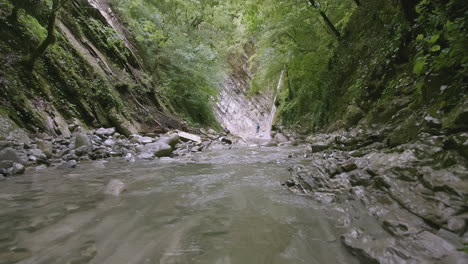 el desfiladero del río de montaña sereno