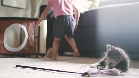 una niña jugando con un gatito corre para agarrar otro gatito detrás de ella