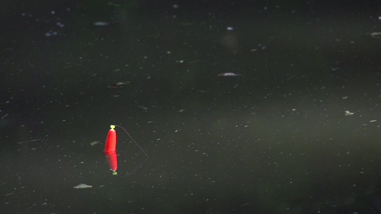 민물낚시와 태클 민물낚시와 태클