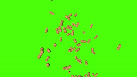 3d peanuts falling animation on green screen chroma key background