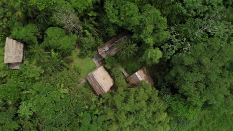 top drone shot of indigenous village on the dense jungle, amazon, colombia