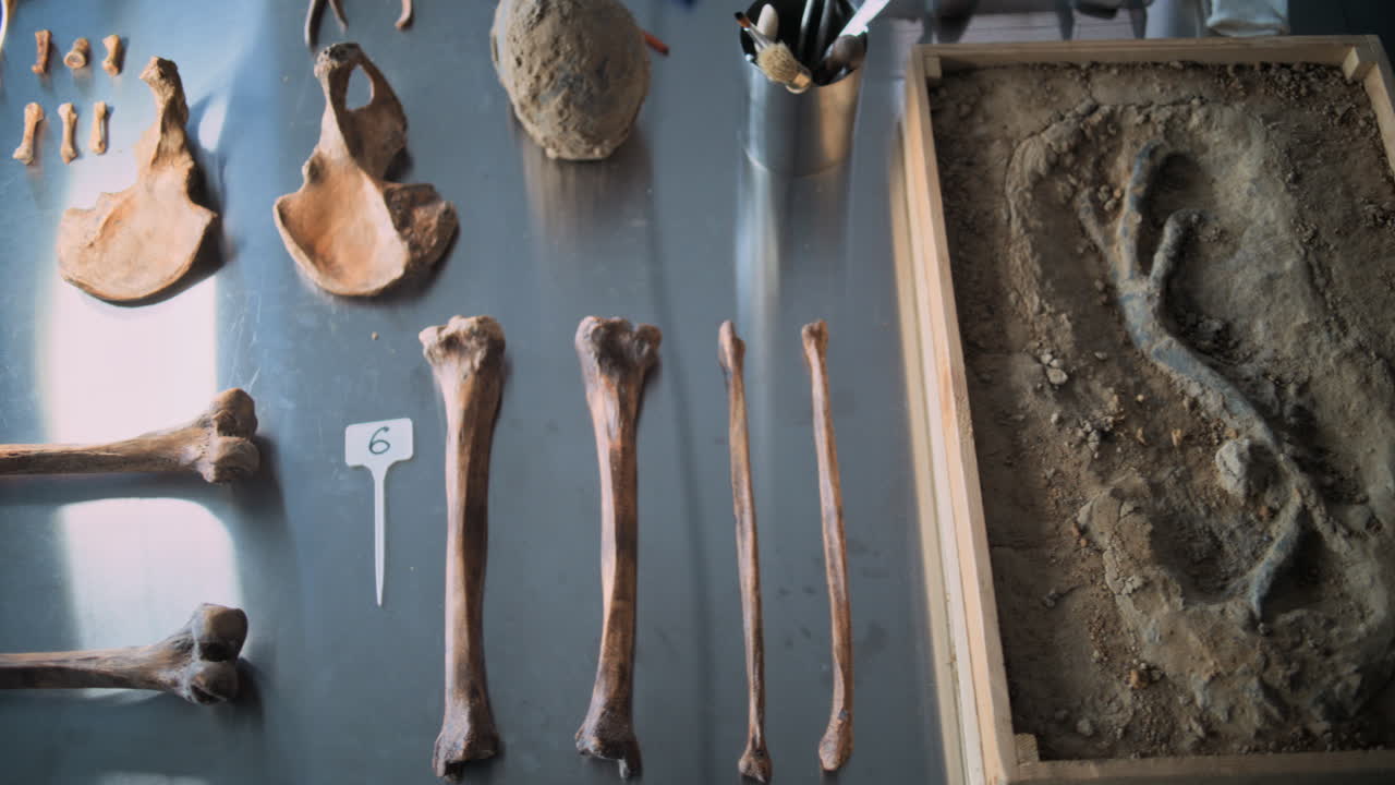 고고학 연구실: 고대 유적의 분석