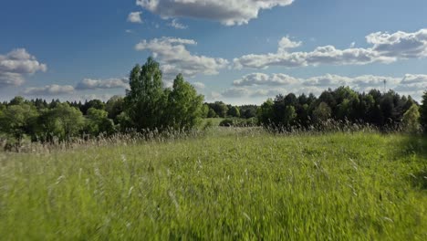 aerial meadow reveal - beautiful nature shot tranquility