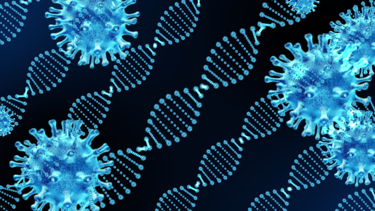 Zimbabwe country map takes center stage with cinematic animation, unveiling virus DNA string within, symbolizing health, research, and and virus commercial video, corporate