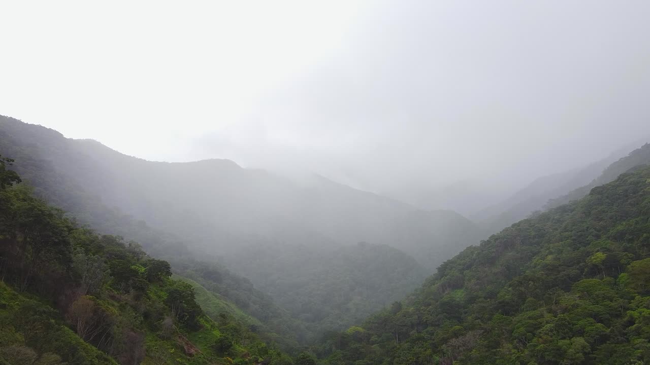 무인 항공기는 일부 나무 앞과 배경에 흐린 산이 있습니다.