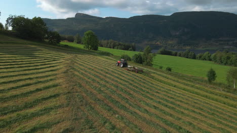 silage production