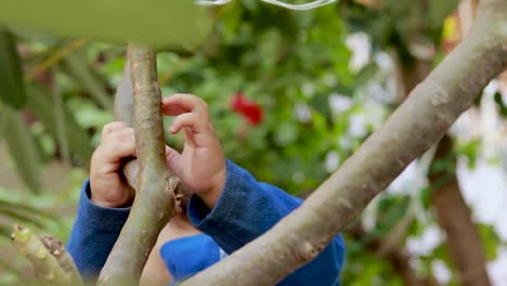 Niño-Inocente-Sosteniendo-La-Rama-De-Un-árbol-Con-Una-Pequeña-Mano-En-El-Día-Desde-Un-ángulo-Plano