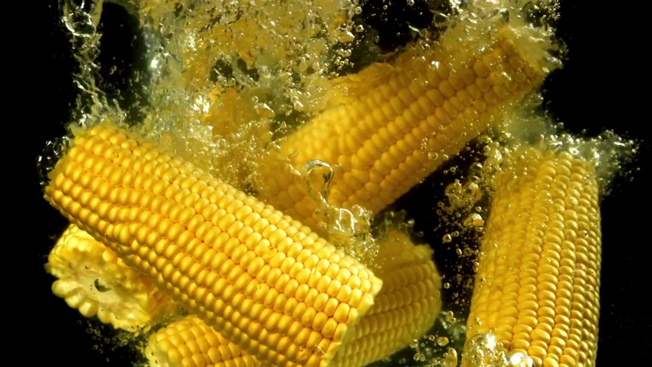 Fresh Yellow Corn Cobs Splashing into Water in Slow Motion