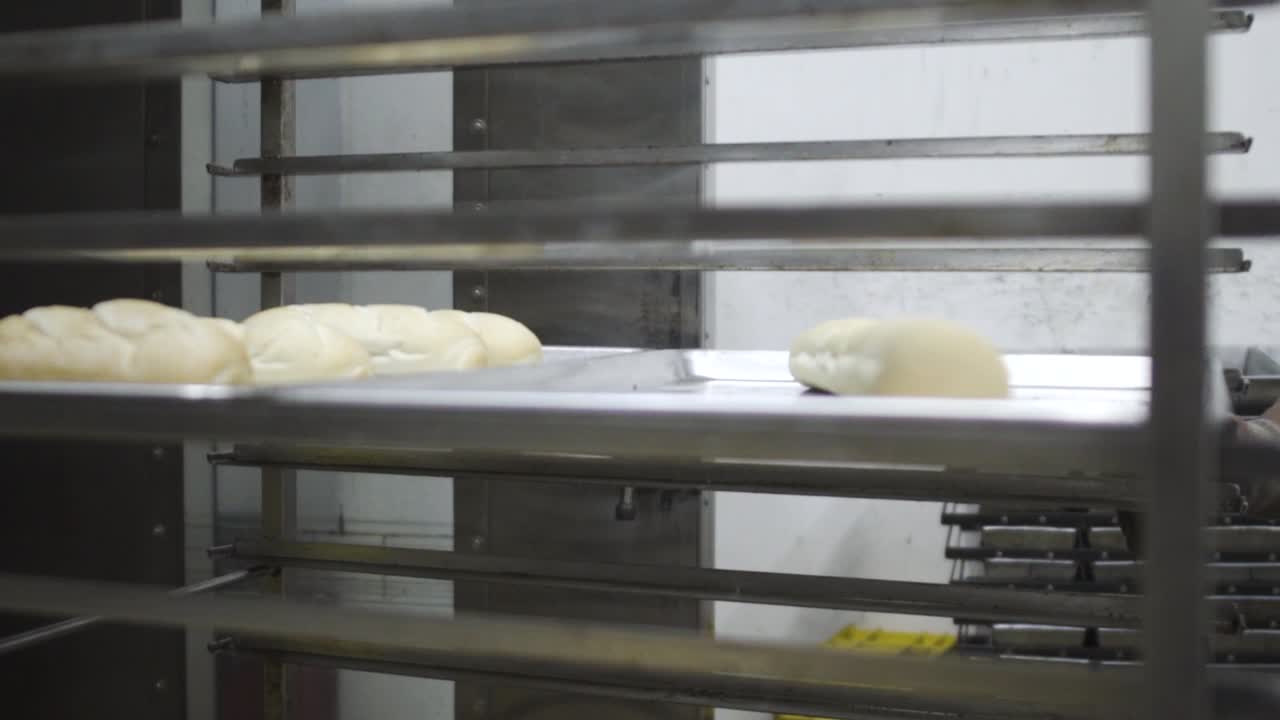 Baking Process: Unbaked Bread Dough on Trays in a Commercial Oven Rack