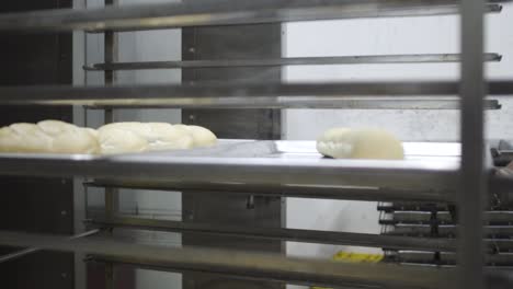 baking process: unbaked bread dough on trays in a commercial oven rack