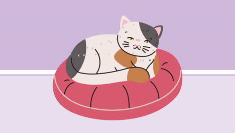 cute cat sleeping mascot animation