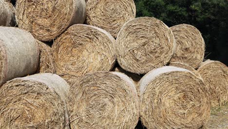 golden yellow bale of hay filmed from the side close-up, during the day without people