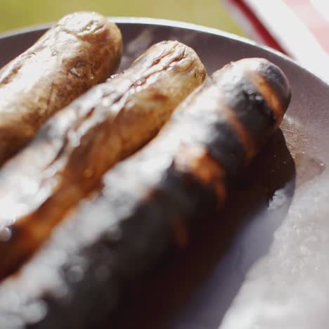 Three-charred-sausages-outside