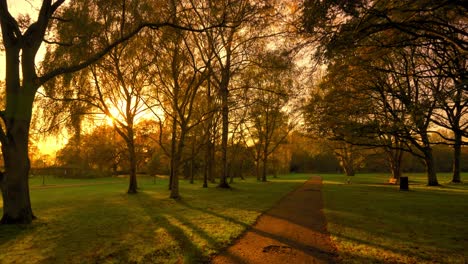 segway drive or walk on footpath in a park during sunset or sunrise