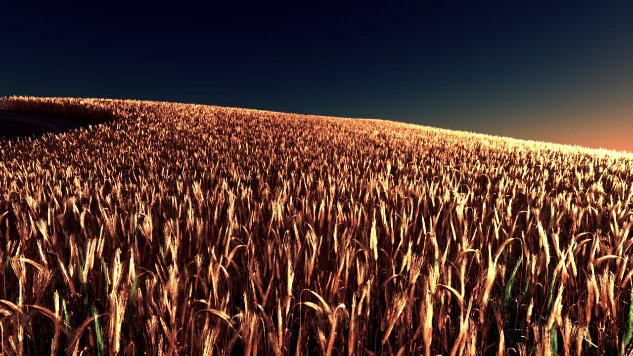 hermoso paisaje con campo de centeno maduro y cielo azul de verano