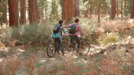 Una-Pareja-Masculina-Se-Toca-Mientras-Anda-En-Bicicleta-Por-Un-Bosque,-Vista-Posterior