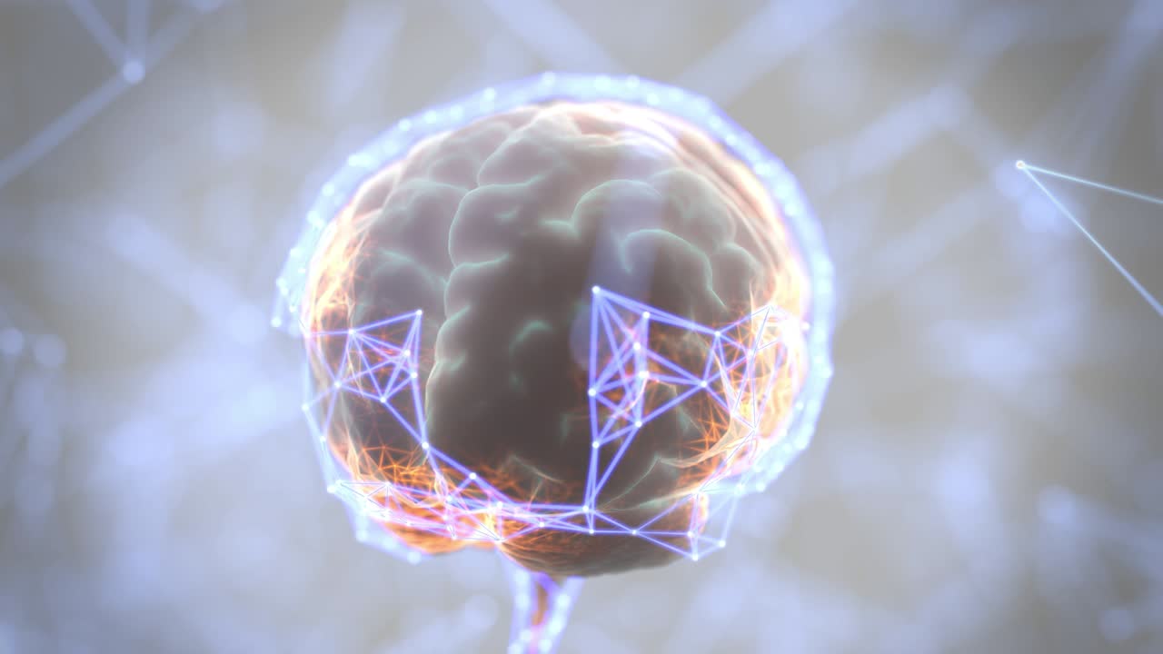 뇌 디지털 스캔 루프