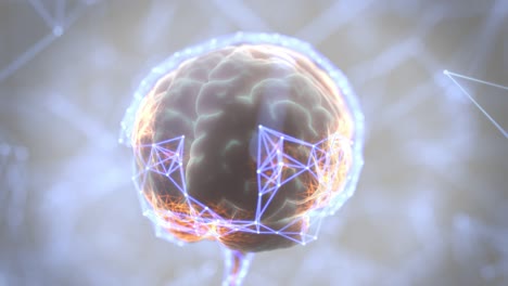 bucle de escaneo digital del cerebro