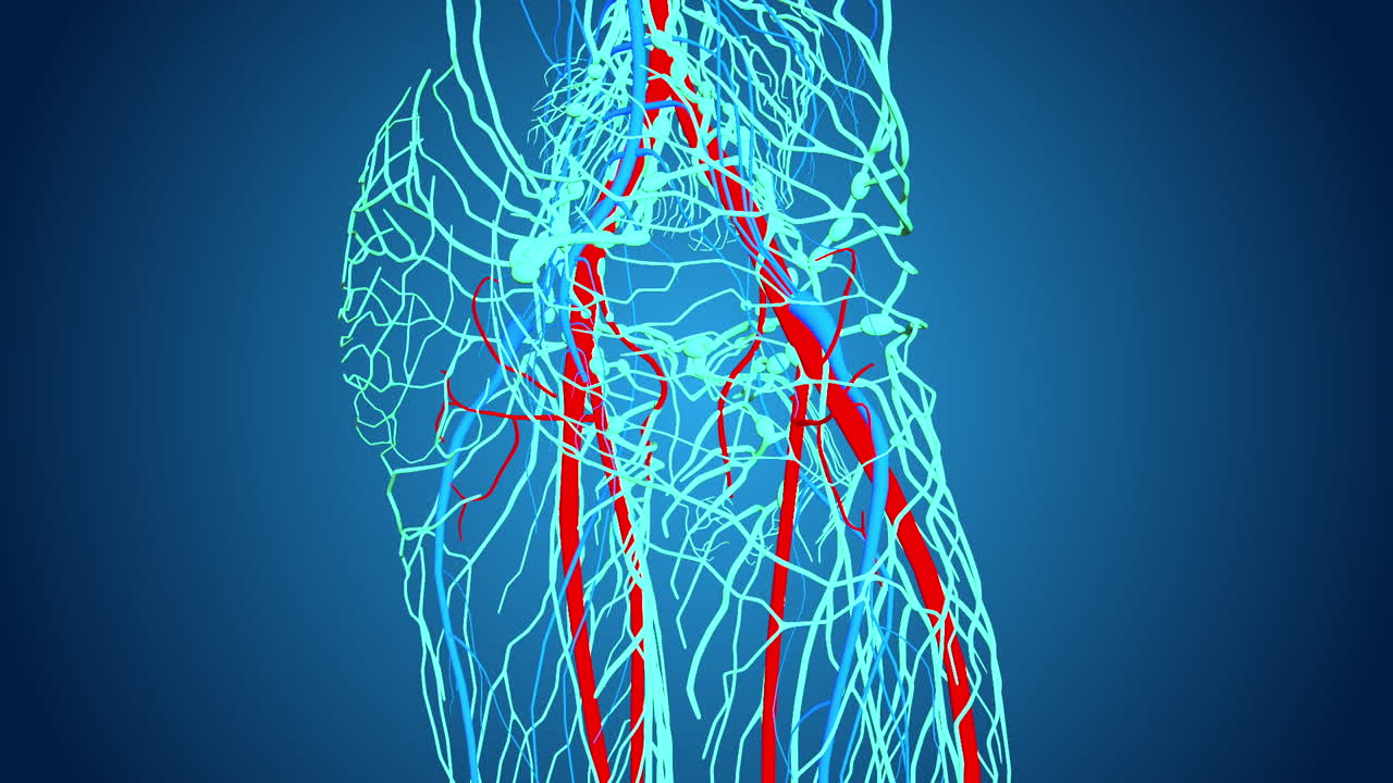 3D Illustration of Hand and Wrist Arteries and Veins