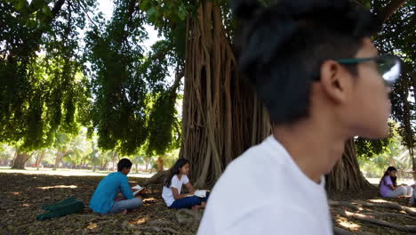 students reading under a big tree in a park