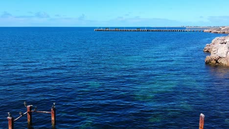 aerial drone edithburgh jetty south australia hd