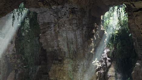 light beams illuminate a lush cave with greenery in a hidden location