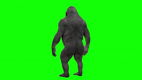 realistic gorilla skin, body in turntable on green screen with alpha matte