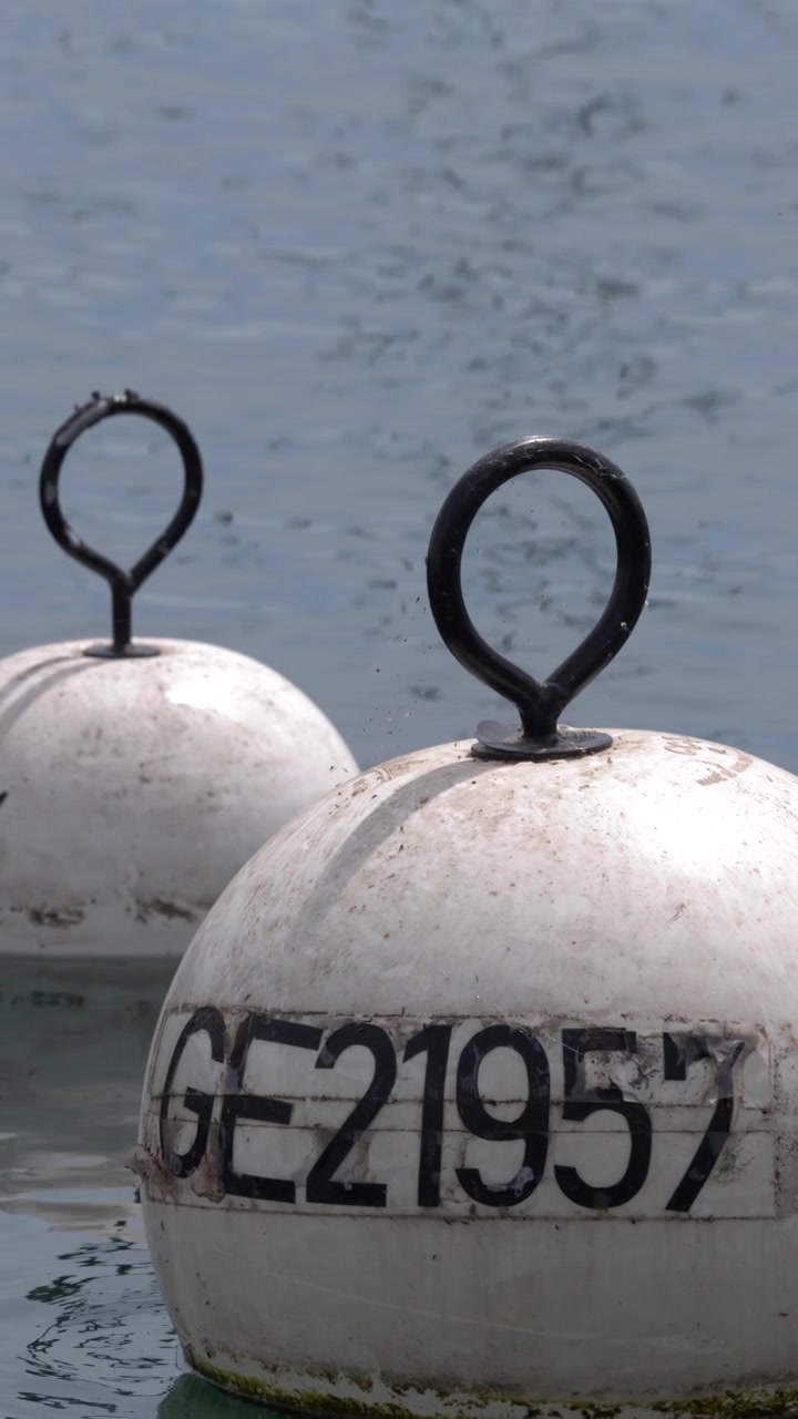 Close-up shot of white spherical navigation buoys bobbing gently on calm lake water surface.