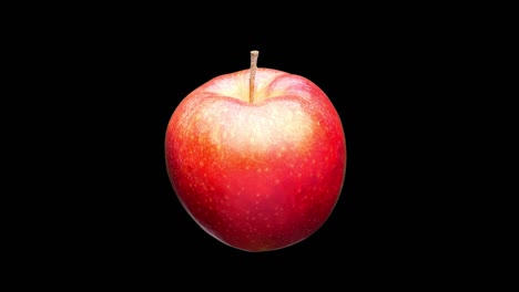 red apple isolated.