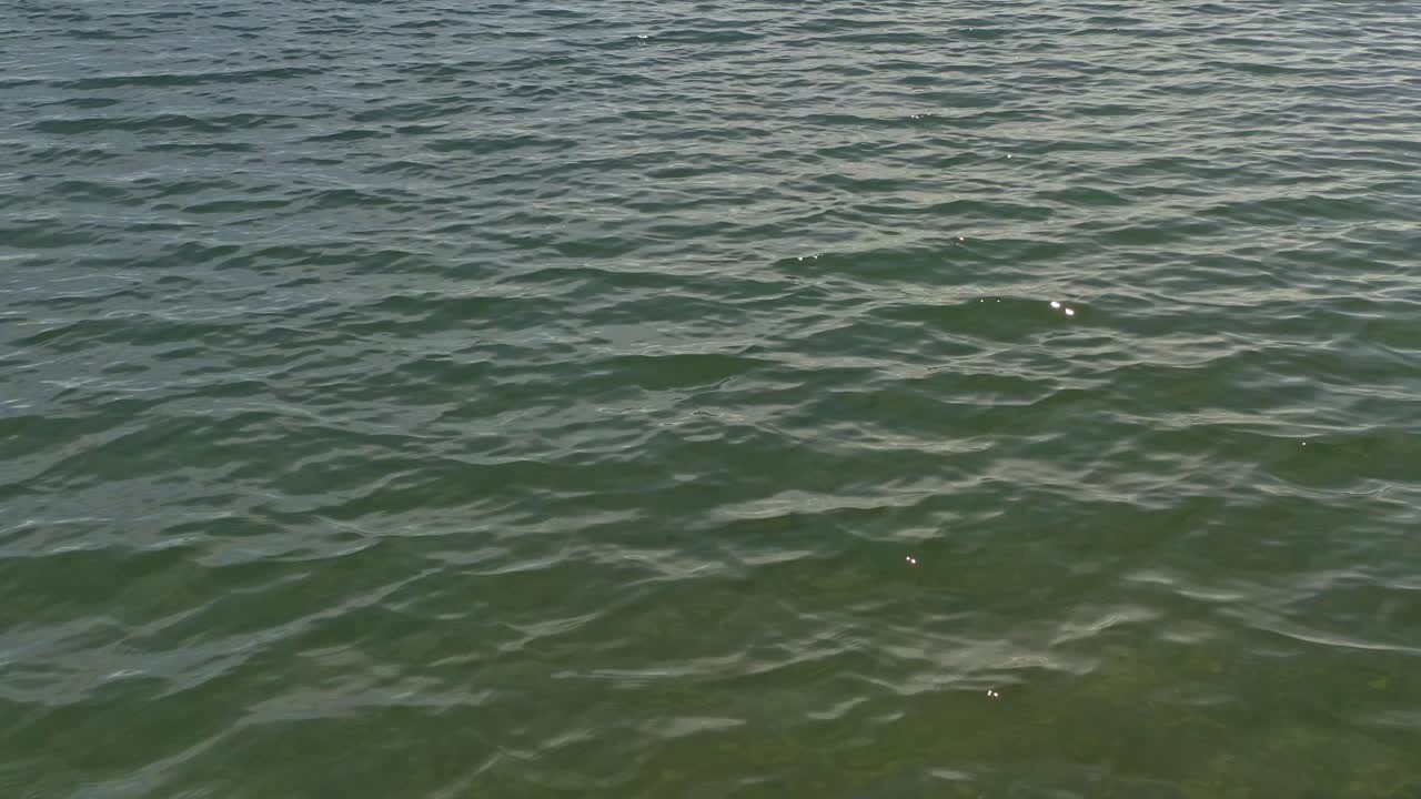 푸른 하늘과 구름이 드러나는 물 위에서 낮은 앞으로의 비행