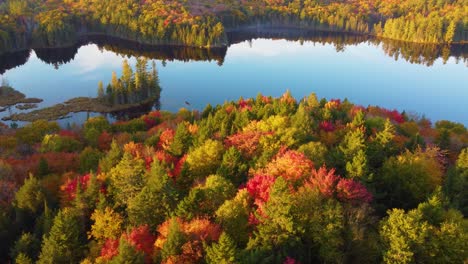 -aerial-view-of-a-calm-lake-surrounded-by-trees-in-autumn-colors
