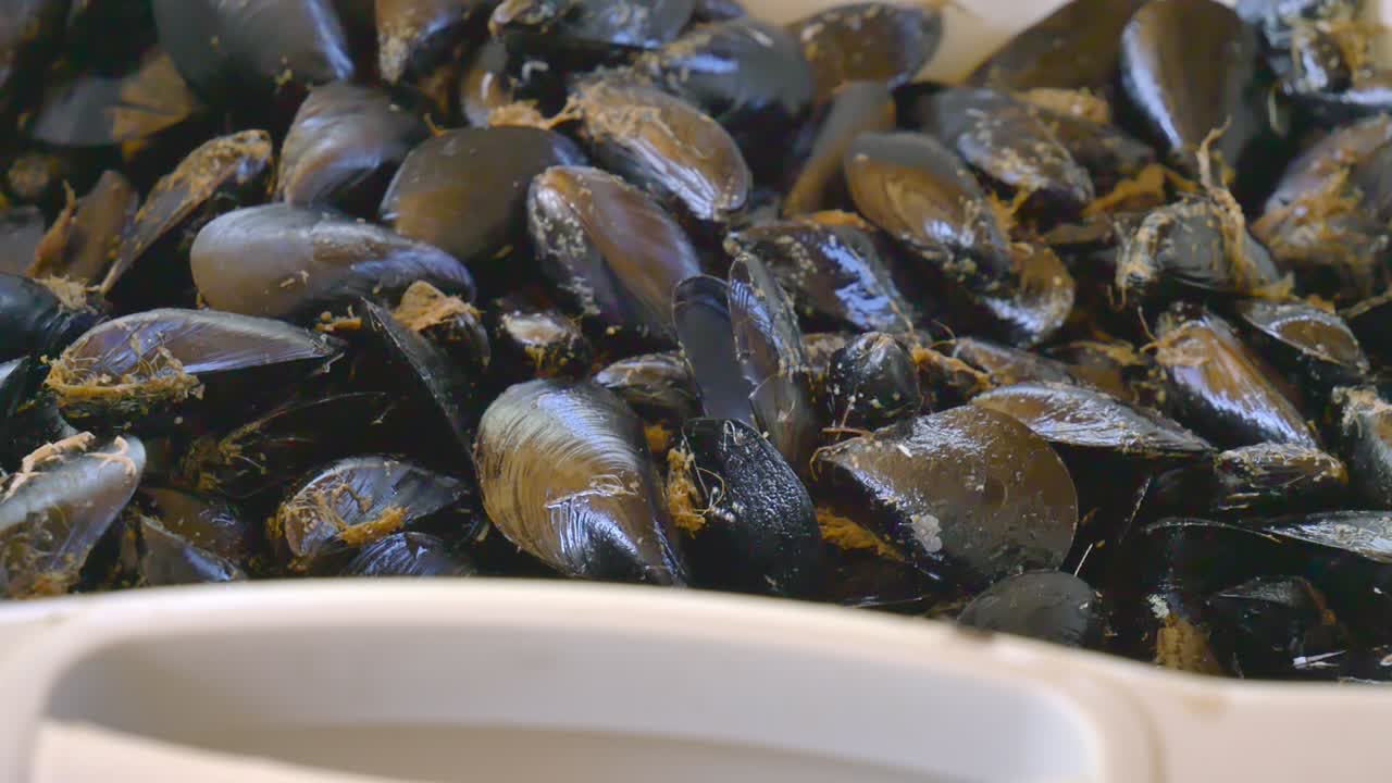 manos femeninas limpiando conchas marinas recolectadas frescas del mar