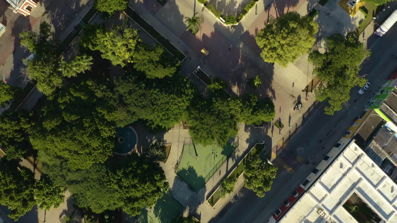 vista de arriba hacia abajo del parque verde, pájaros voladores y edificio de la iglesia en la ciudad