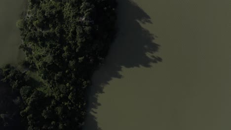 aerial topdown shot of a lush tropical coastline