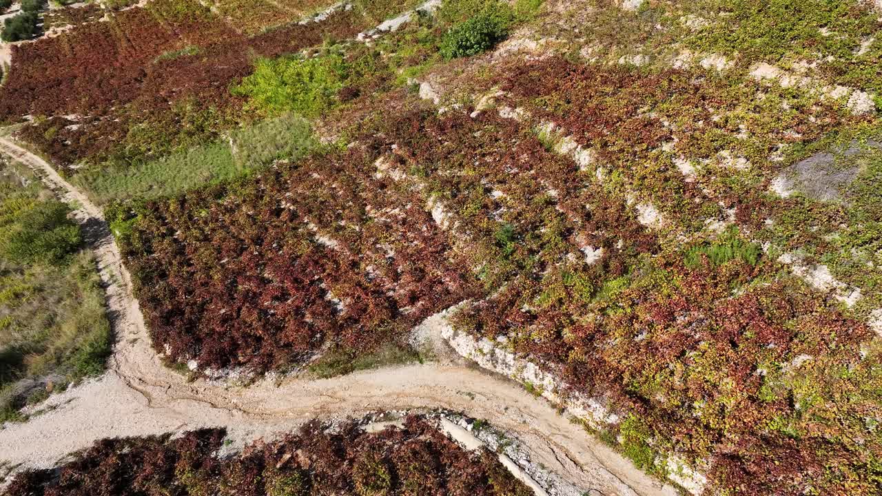 región vitivinícola de la isla de mljet, en el sur de la península de pelješac.