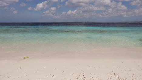 la arena blanca de la playa burro, bonaire